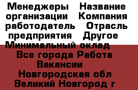 Менеджеры › Название организации ­ Компания-работодатель › Отрасль предприятия ­ Другое › Минимальный оклад ­ 1 - Все города Работа » Вакансии   . Новгородская обл.,Великий Новгород г.